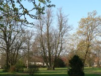 Zámrsk, park s lípou, strom roku 2004