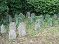 Sušice, starý židovský hřbitov