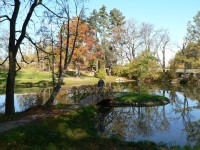 Vysoký Hrádek, rybník s ostrůvkem