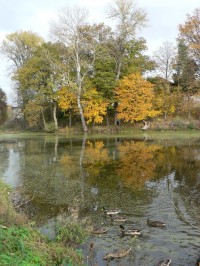 Lažany, pohled na park a rybník