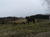 Mokrosuky, černý kůň a trabant