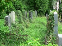 Sušice, nový žid. hřbitov, řada náhrobků