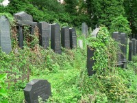Sušice, část nového žid. hřbitova