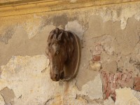 Nalžovské Hory, hlava koně na budově
