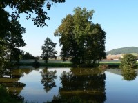 Červené Poříčí, zámecký park