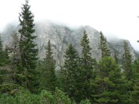 Pohled k tatranským vrcholům