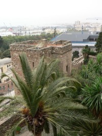 Alcazaba, palma v pevnosti
