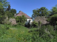 Hlavňovice, rozpadlé budovy v pozadí zámek