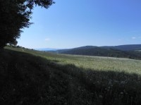 Hlavňovice, pohled na Šumavu