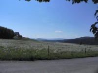 Hlavňovice, pohled na Šumavu v pozadí Huťská hora