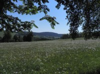 Hlavňovice, pohled na Kaltský vrch
