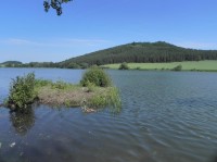 Panský-nezamyslický rybník, ostrůvek v pozadí hora Kozník