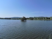 Panský-nezamyslický rybník, pohled na ostrůvek