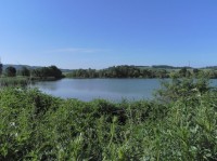 Panský- nezamyslický rybník východní část