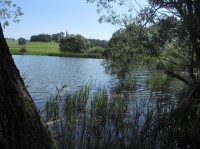 Pohled přes rybník na Nezamyslice