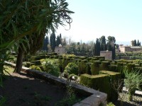 Alhambra, stálezelená zahrada