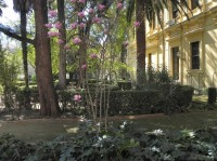 Granada, městská zeleň