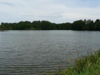 Jindřichovický rybník