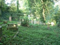 Blovice, židovský hřbitov