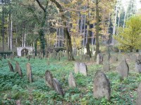 Strážov, židovský hřbitov, celkový pohled