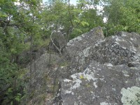 Hrubá skála, skalní kameny s lišejníky
