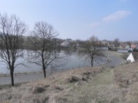 Břeh Frymburského rybníka