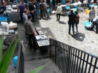 Catania, prodej ryb