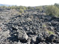 Etna, ožívající lávové pole