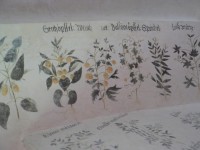 Roštejn, botanický sál