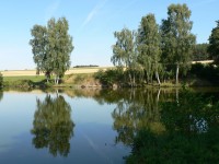 Pole, rybník Vlasatka