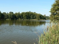Velký Bezděkovský rybník