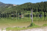 Erlaufsee, severní břeh jezera