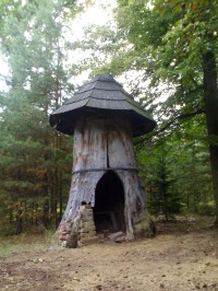 Krytý dub - Hradecké lesy