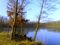 rybník Datlík - Hradecké lesy