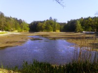 Mlýnský rybník