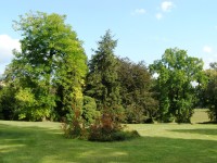 Ratibořice - zámecký park