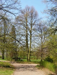 Arboretum Růžový palouček