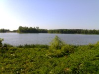 Újezd u Sezemic - Újezdský rybník