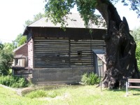 Popovice - mlýn a starý dub