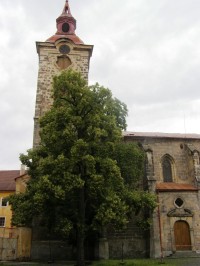 Jičín - kostel sv. Ignáce z Loyly 