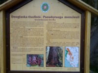 Vodní nádrž Kříž - Hradecké lesy