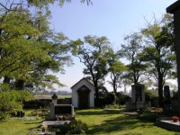 Hřbitov u Českého Meziříčí