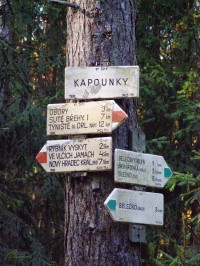 Rozcestí Kapounky - Hradecké lesy, staré značení