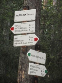Rozcestí Kapounky - Hradecké lesy