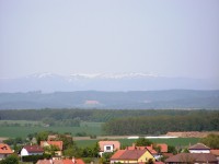 Veselský háj - Kákovice, výhled na Krkonoše