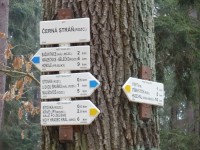 turistické rozcestí Černá stráň - Hradecké lesy