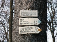 turistické rozcestí Homole (Buky u Vysokého Chvojna)