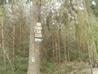 turistické rozcestí Sítovka - Hradecké lesy