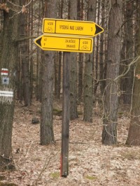 cykloturistické rozcestí u v lese Vysoké nad Labem