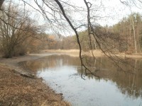 rybník Špičník